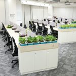 IMG 7878 Office Layouts